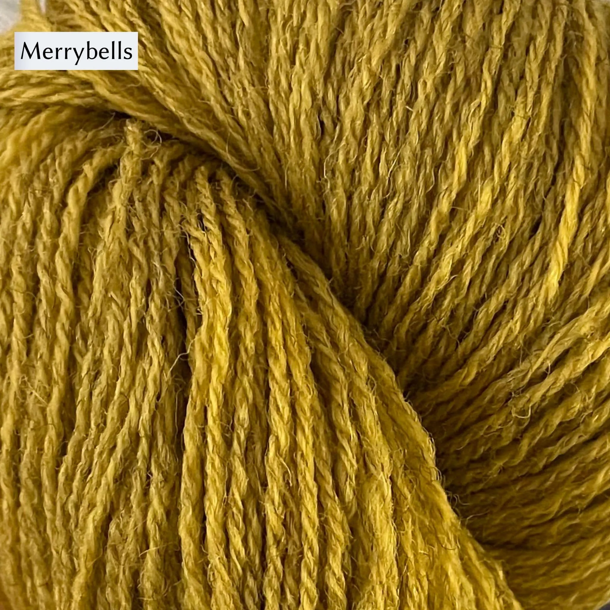 Golden Fern Socks by Fox & Folk in Rambler