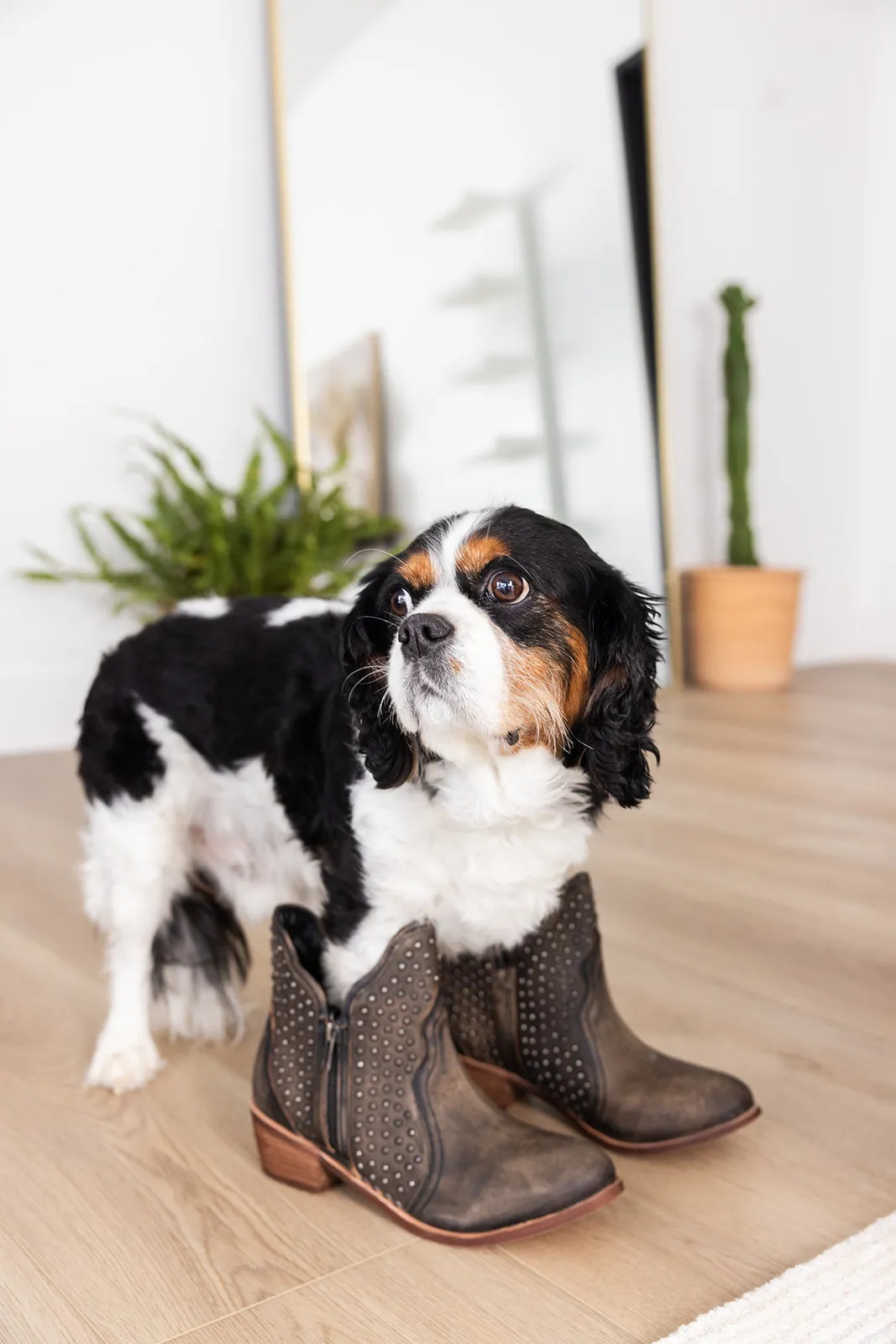 Nailed It Ankle Boot in Black